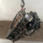 Boite de vitesses RENAULT VEL SATIS