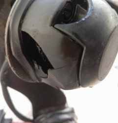 Attelage (boule de remorquage) RENAULT SCENIC 3 Photo n°6