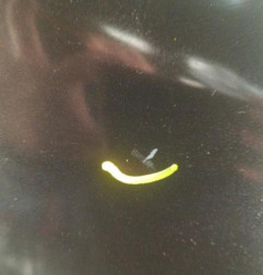 Aile avant droit RENAULT GRAND ESPACE 4 Photo n°3