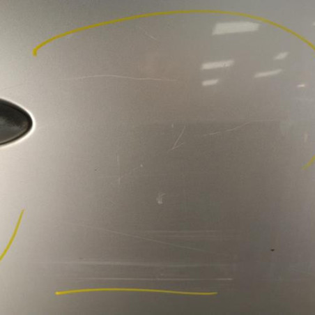 Porte avant droit RENAULT SCENIC 2