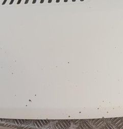 Capot FIAT DUCATO 3 Photo n°3