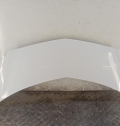 Capot RENAULT MODUS Photo n°1