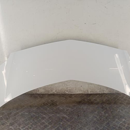 Capot RENAULT MODUS Photo n°1