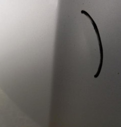 Capot SKODA OCTAVIA 1 Photo n°3