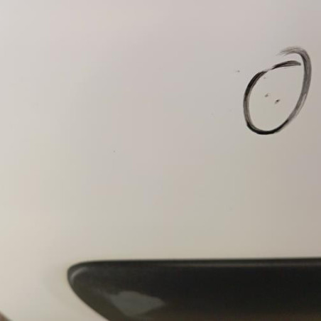 Porte avant gauche DACIA LOGAN 1