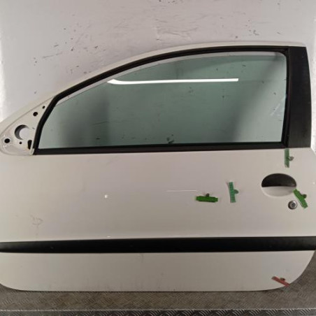 Porte avant gauche PEUGEOT 206+ Photo n°1