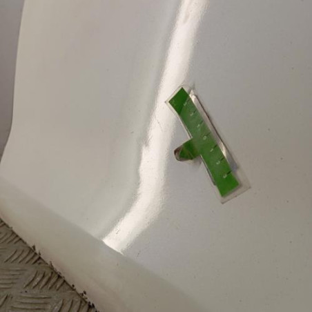 Porte avant gauche RENAULT LAGUNA 3