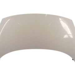 Capot RENAULT GRAND SCENIC 3 Photo n°1