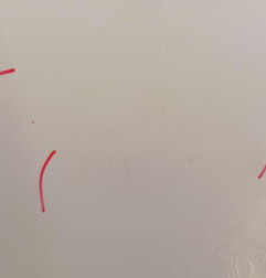 Porte avant droit RENAULT CLIO 4 Photo n°3