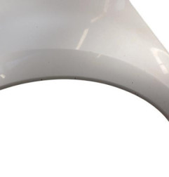 Aile avant gauche RENAULT GRAND MODUS