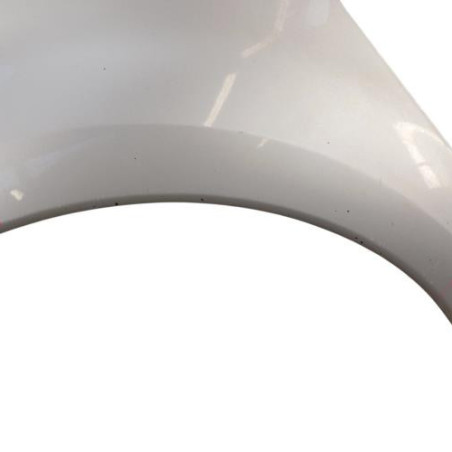 Aile avant gauche RENAULT GRAND MODUS