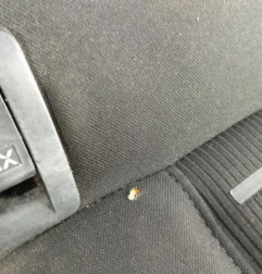 Banquette arriere (KIT DERIV VP) PEUGEOT 308 2 Photo n°3