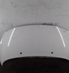 Capot PEUGEOT 207 Photo n°1