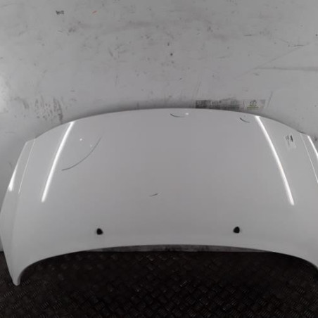 Capot PEUGEOT 207 Photo n°1