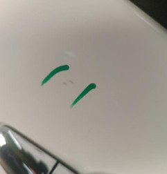 Porte avant droit DS DS3 Photo n°6