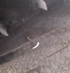 Porte avant droit PEUGEOT 308 2