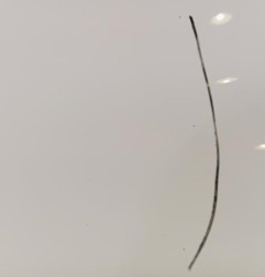 Porte arriere gauche RENAULT CLIO 4