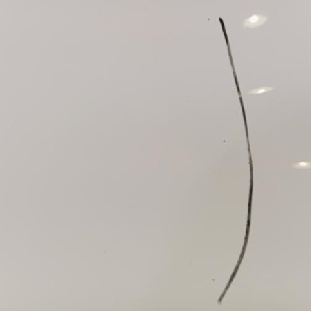 Porte arriere gauche RENAULT CLIO 4