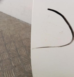 Porte avant gauche RENAULT CLIO 4 Photo n°3