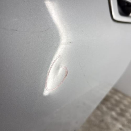 Porte arriere gauche PEUGEOT 406