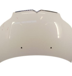 Capot CITROEN C4 1 Photo n°1