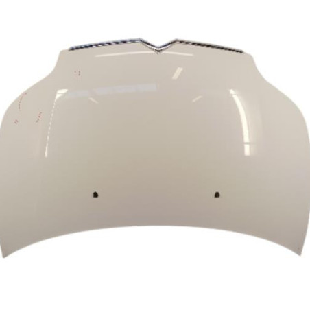 Capot CITROEN C4 1 Photo n°1