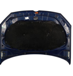 Capot VOLKSWAGEN POLO 5 Photo n°4