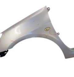 Aile avant gauche PEUGEOT 307 Photo n°1