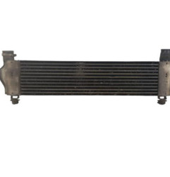 Echangeur air (Intercooler) NISSAN QASHQAI 1 Photo n°1