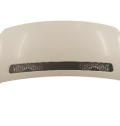 Capot PEUGEOT EXPERT 2 Photo n°1