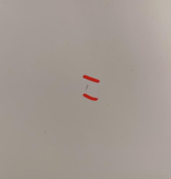 Porte avant droit RENAULT CLIO 4