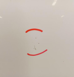 Porte avant gauche RENAULT CLIO 4 Photo n°4