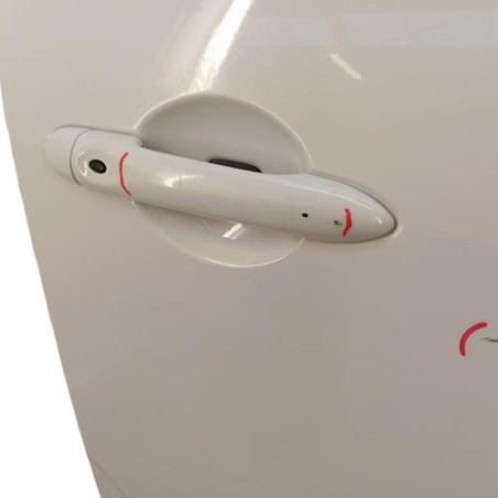 Porte avant droit RENAULT GRAND SCENIC 3