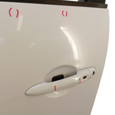 Porte avant gauche RENAULT GRAND SCENIC 3