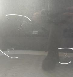 Capot RENAULT MEGANE 3 Photo n°5