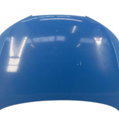 Capot SEAT IBIZA 4 Photo n°1