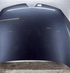 Capot RENAULT MEGANE 3 Photo n°1