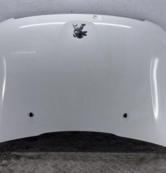Capot PEUGEOT 2008 1 Photo n°1