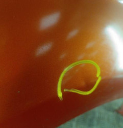 Aile avant gauche DACIA LOGAN MCV 1