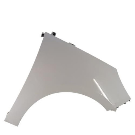 Aile avant droit RENAULT SCENIC 3 Photo n°1