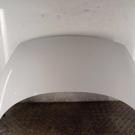 Capot RENAULT SCENIC 3 Photo n°1