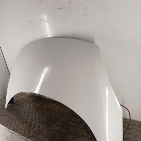 Capot RENAULT SCENIC 3