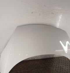 Capot RENAULT SCENIC 3 Photo n°3