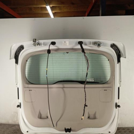 Malle/Hayon arriere RENAULT SCENIC 3 Photo n°1