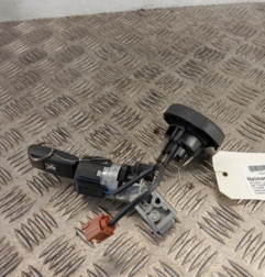 Neiman PEUGEOT 308 1