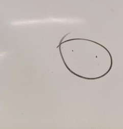 Capot RENAULT MASTER 2 Photo n°4