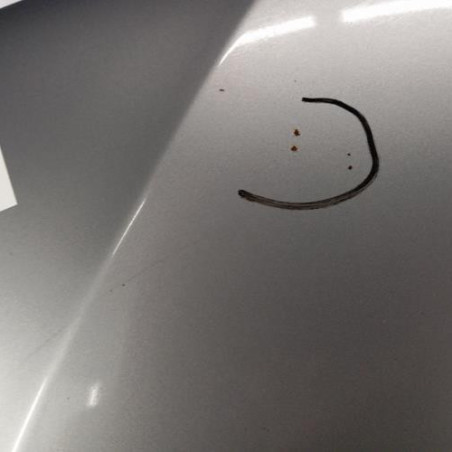 Capot BMW SERIE 3 E46