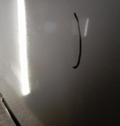 Capot BMW SERIE 3 E46 Photo n°4