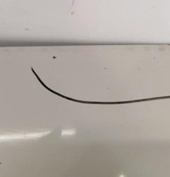 Capot CITROEN JUMPER 1 Photo n°3