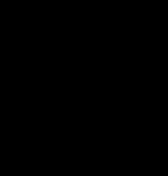 Porte avant droit CITROEN C3 1 Photo n°3